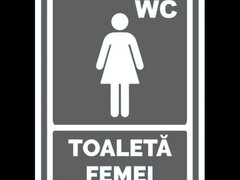 Indicator gri  toaleta pentru femei